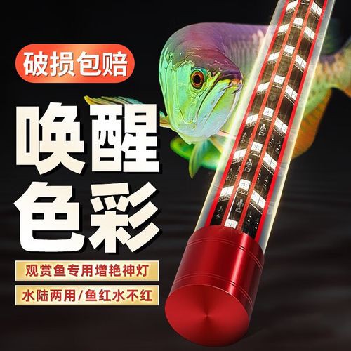 有哪些品牌的龍魚缸燈具推薦？