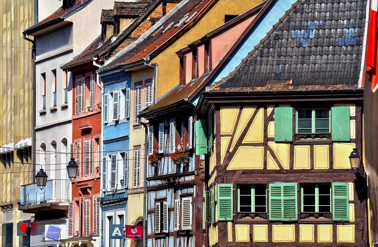 東莞市東城尋龍水族器材店