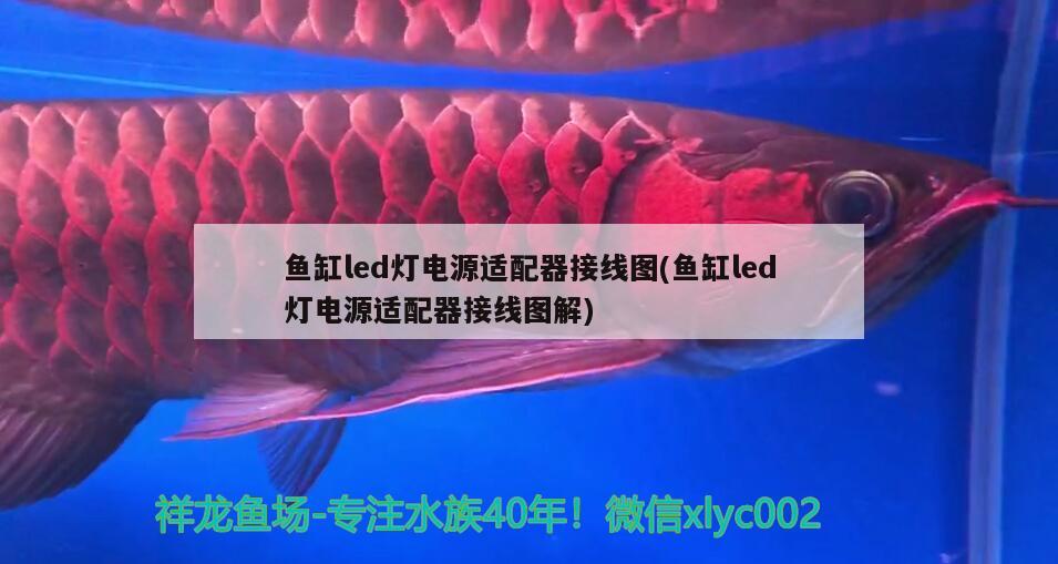 七星關區香香水族館 七星關區香香水族館 全國水族館企業名錄 第3張