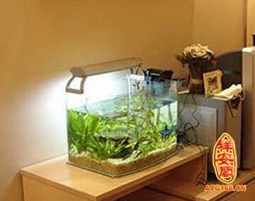 黃山市屯溪區魚魚魚原生態水族館（屯溪魚羊館）