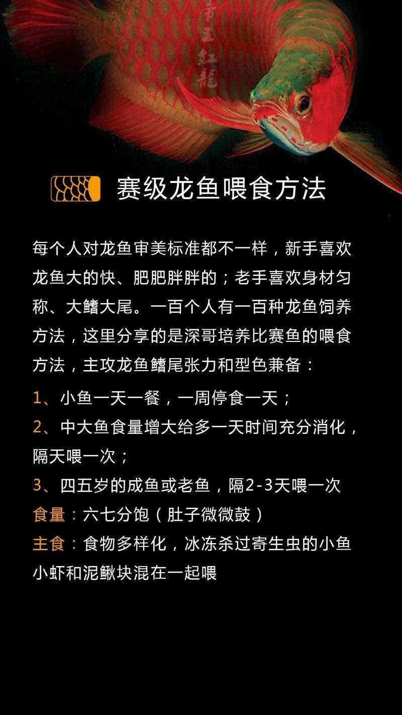 龍魚換水后喂什么食物好？ 龍魚換水后喂什么食物好？ 龍魚百科 第3張