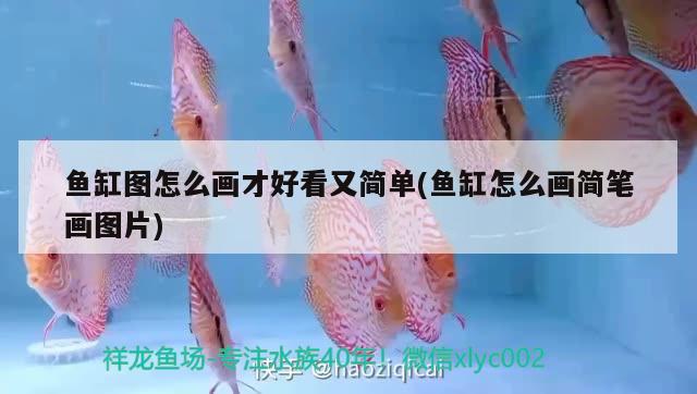 韶關魚缸定做店電話地址查詢（韶關魚缸定做店電話地址查詢大全）