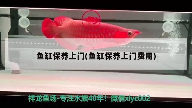 韶關魚缸定做店電話地址查詢（韶關魚缸定做店電話地址查詢大全）