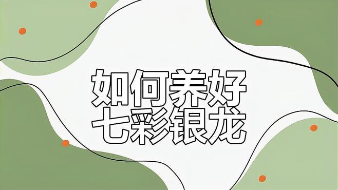 七彩龍魚的最佳飼養環境是什么？ 七彩龍魚的最佳飼養環境是什么？ 龍魚百科 第2張
