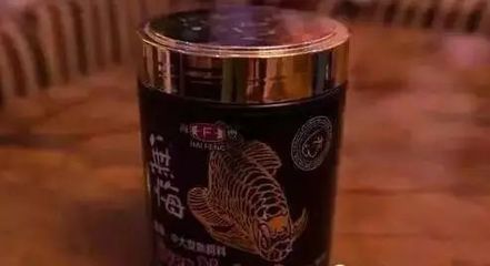 龍魚訓食顆粒飼料怎么喂好：喂食龍魚顆粒飼料需要一定的技巧和耐心