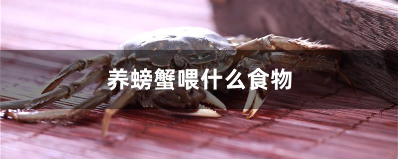 養(yǎng)螃蟹喂什么食物
