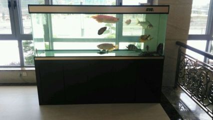 彩蝶魚缸a款圖片欣賞，彩蝶魚缸lt-a系列規格參數