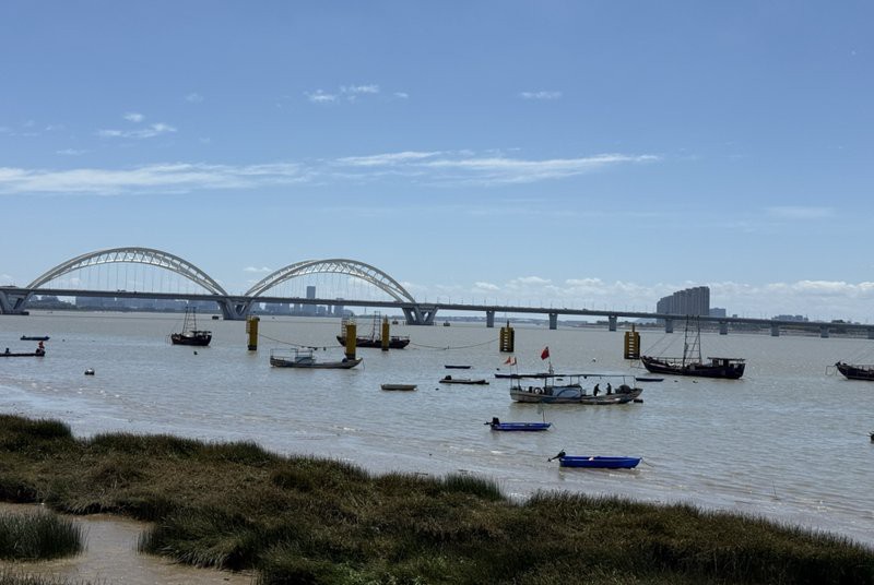 浙江龍魚市場地址在哪里呀 浙江龍魚市場地址在哪里呀 龍魚百科 第4張