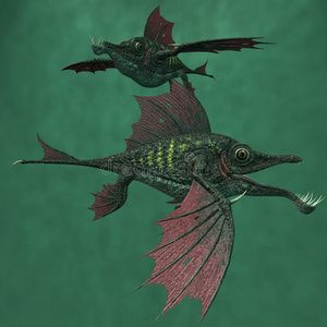 龍魚不愛游動弓背的情況可以從以下幾個方面進行預防：為了預防龍魚出現不愛游動弓背的情況