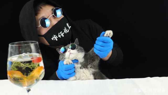 芝罘區(qū)<strong><mark>和平</mark></strong>水族店（芝罘區(qū)<strong><mark>和平</mark></strong>水族店電話號碼）