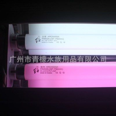 龍魚哪里進(jìn)貨好一點(diǎn)呢，可靠的龍魚進(jìn)貨渠道對于確保龍魚的健康和品質(zhì)至關(guān)重要