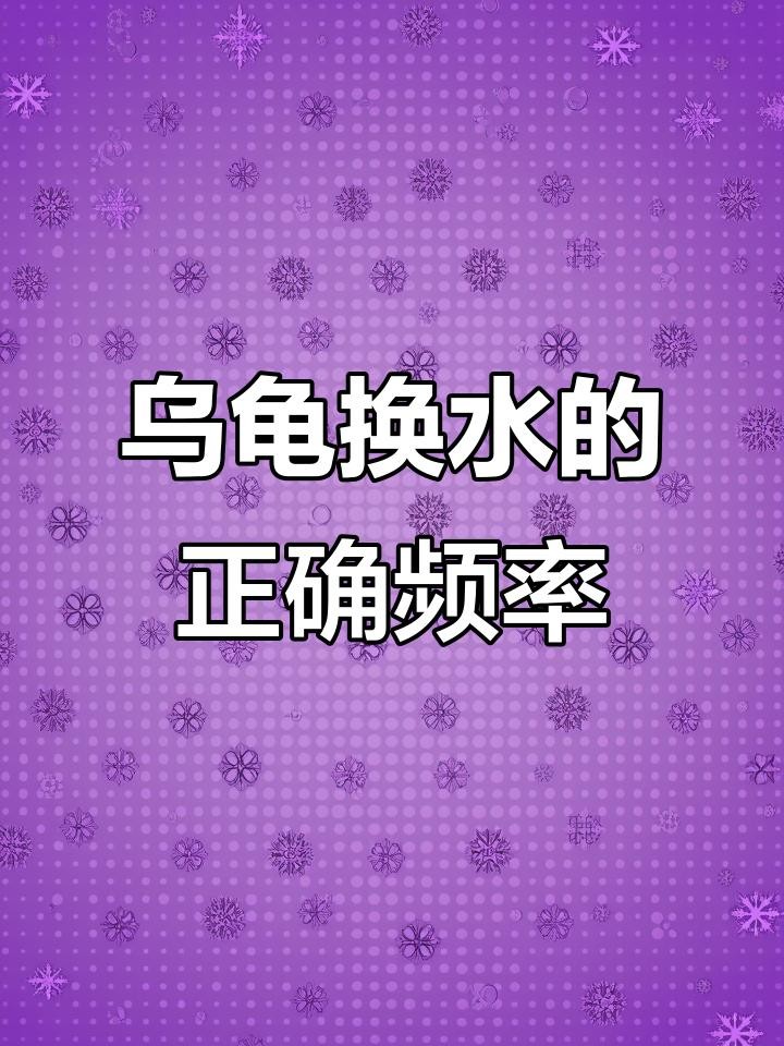 龍龜和魚缸擺放需要多久換一次水？ 龍龜和魚缸擺放需要多久換一次水？ 龍魚百科 第7張