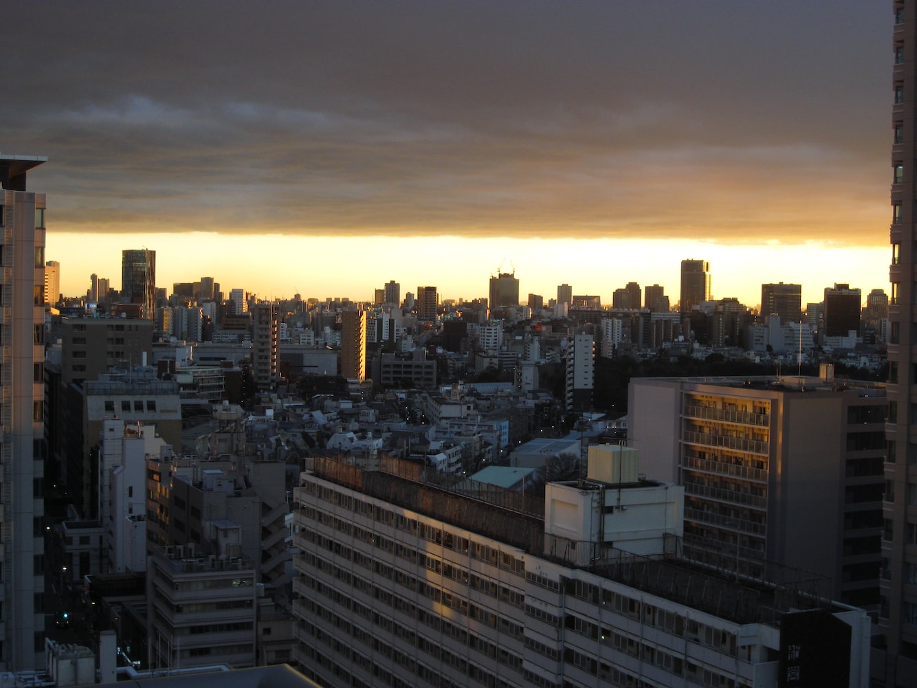 沈陽市<strong><mark>于洪</mark></strong>區水之魂水族生活中心