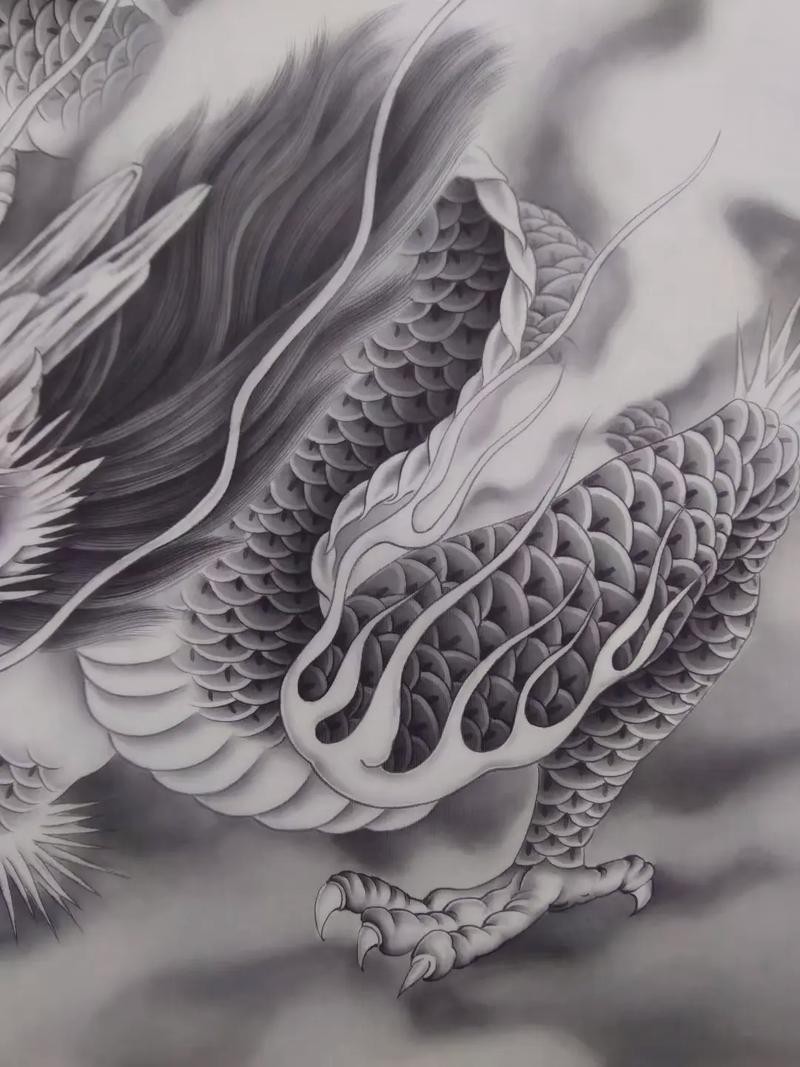 古典龍魚血統純正有何優勢？ 古典龍魚血統純正有何優勢？ 龍魚百科 第8張