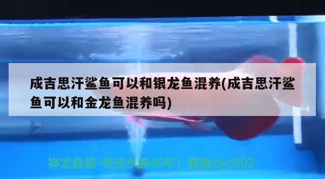 蚌埠魚缸定做店電話多少號（蚌埠魚缸定做店電話多少號碼）