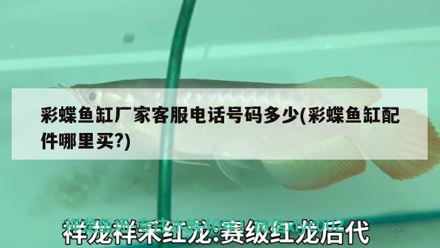 <strong><mark>神木</mark></strong>觀賞魚店電話多少（<strong><mark>神木</mark></strong>哪里有賣寵物狗的）