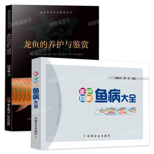 龍魚(yú)靜止在水面不動(dòng)