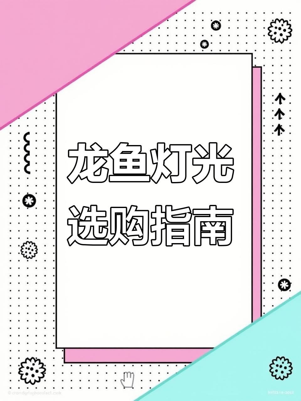 如何選擇適合龍魚的照明設備？