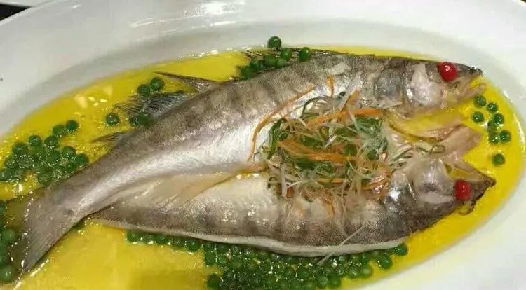 天山雪龍魚是海魚嗎