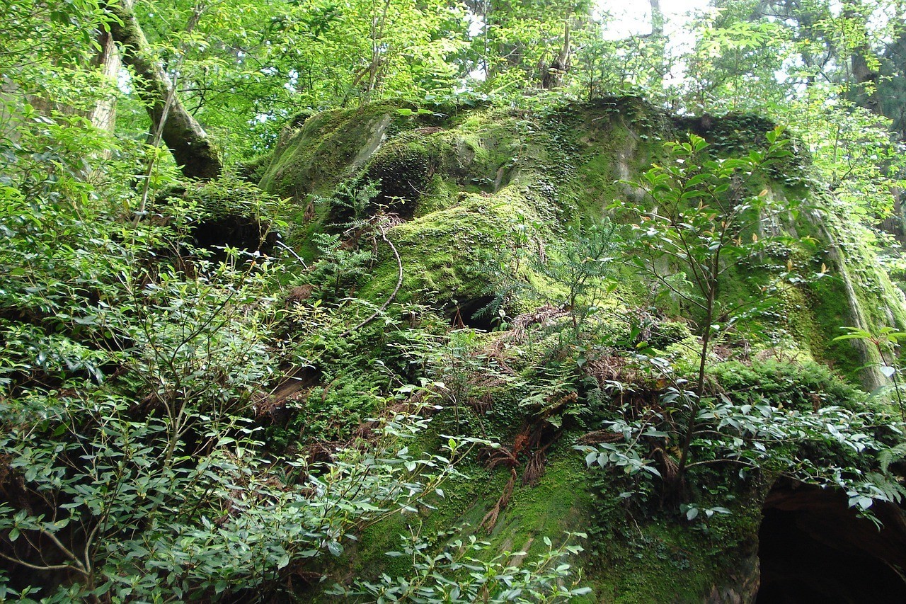 萊蕪市鋼城區(qū)歐亞生態(tài)農(nóng)業(yè)園（萊蕪市鋼城區(qū)歐亞生態(tài)農(nóng)業(yè)園地址）