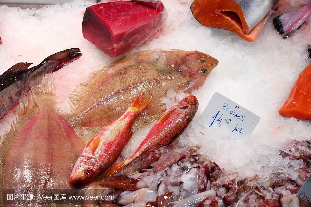 紅頭利魚（紅頭利魚最佳飼養水溫）