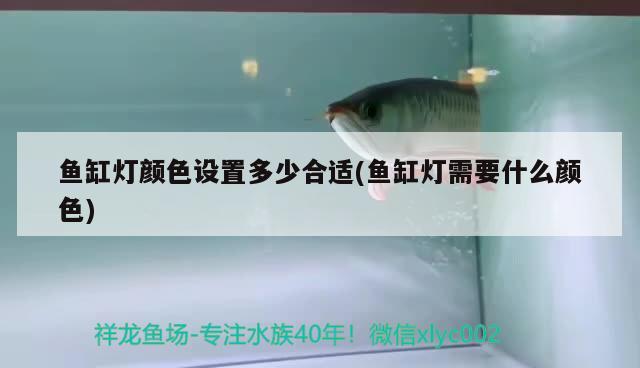魚缸燈顏色設置多少合適(魚缸燈需要什么顏色)