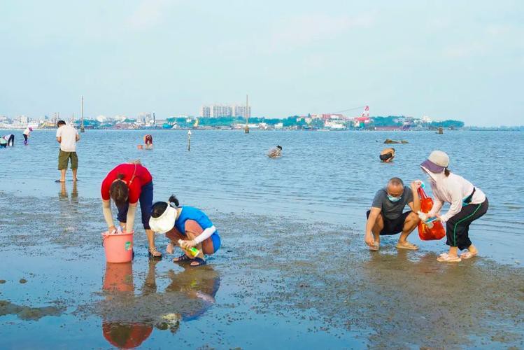 <strong><mark>?？?/mark></strong>哪里養(yǎng)殖龍魚好吃又便宜