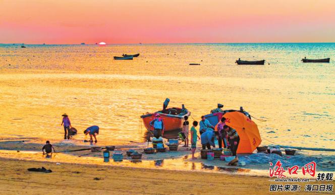 海口哪里養殖龍魚好吃又便宜