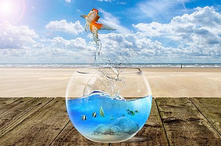 魚缸圖片效果圖高清大圖（魚缸與家具搭配技巧室內(nèi)魚缸自然元素布置方法高清魚缸壁紙下載）