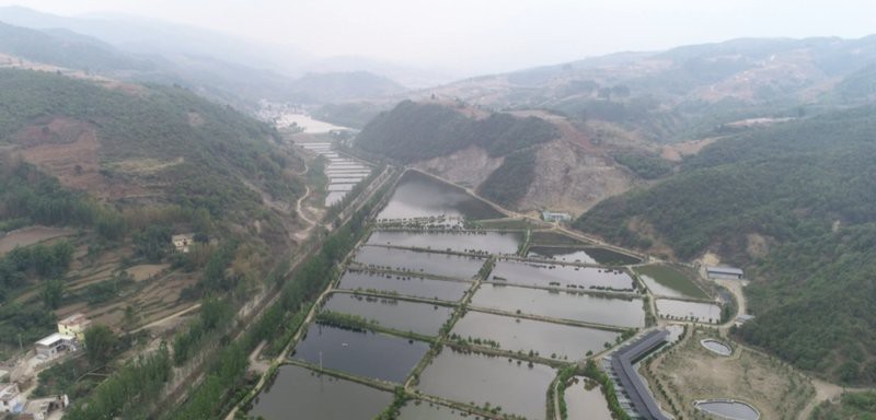 茂灣水產(chǎn)是否嘗試過巴卡雷龍繁殖？