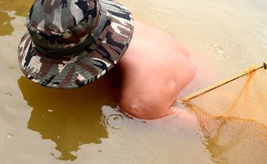 金龍魚的孵化受精卵采用什么孵化方式：金龍魚孵化受精卵采用什么孵化方式金龍魚孵化受精卵 金龍魚的孵化受精卵采用什么孵化方式：金龍魚孵化受精卵采用什么孵化方式金龍魚孵化受精卵 龍魚百科 第2張