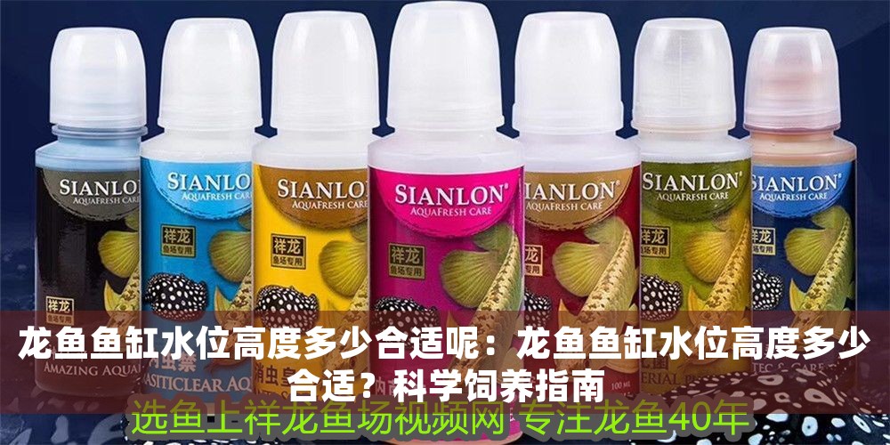 龍魚魚缸水位高度多少合適呢：龍魚魚缸水位高度多少合適？科學飼養指南