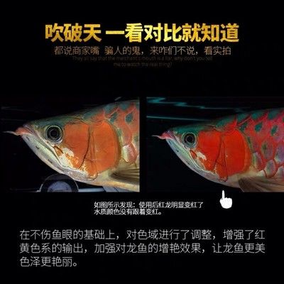 馬印發色燈和烤色燈哪個好：馬印發色燈和烤色燈哪個好馬印發色燈和烤色燈哪個好