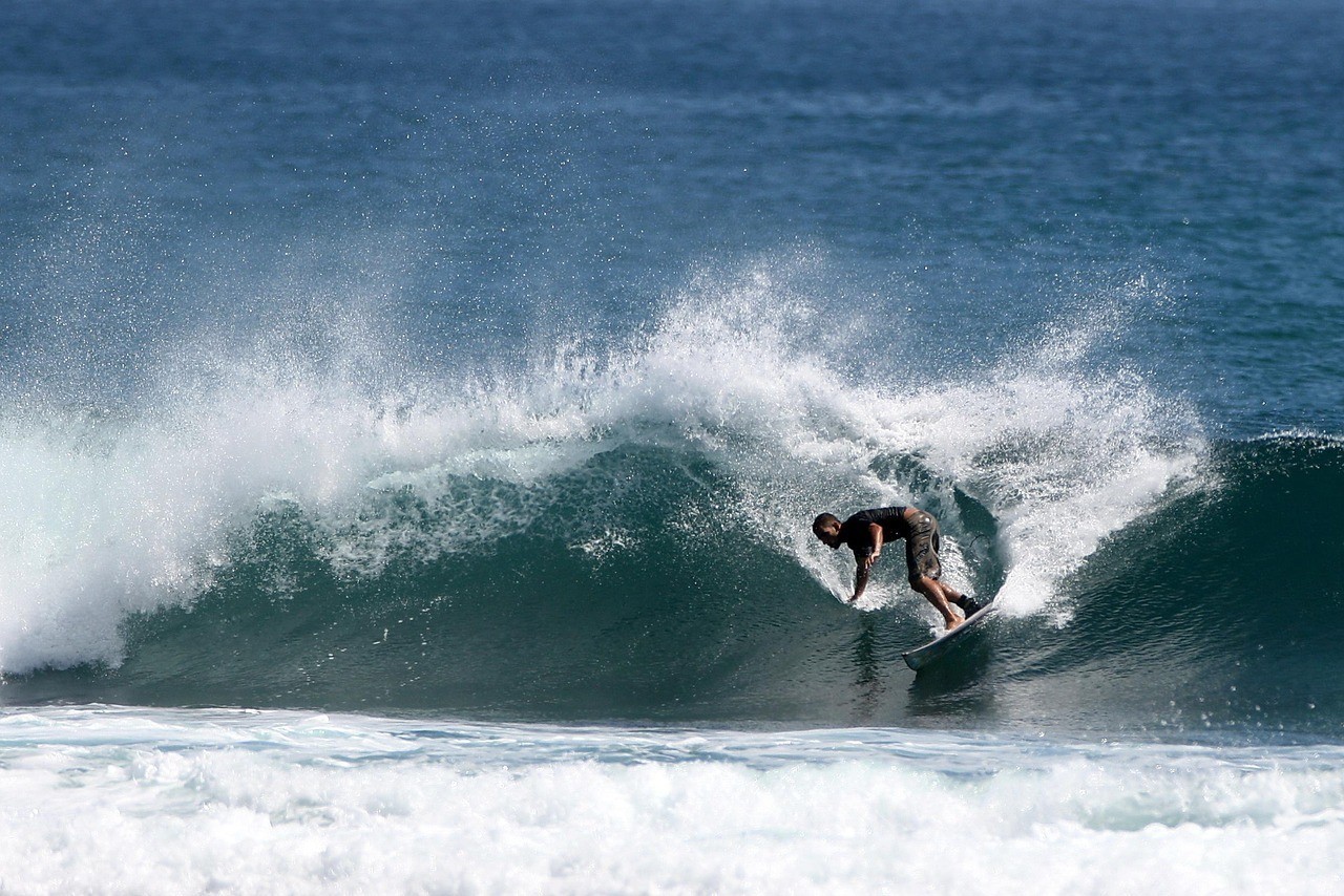 伊春市美溪區小歪高品質水族館
