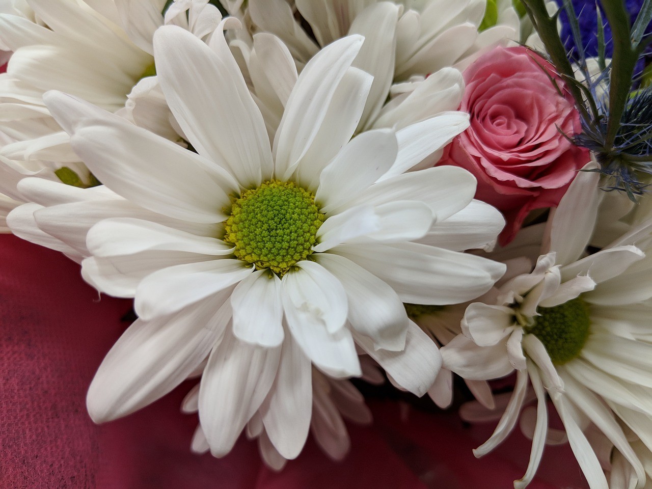 <strong><mark>隆安</mark></strong>縣那桐鎮(zhèn)花語軒鮮花店（<strong><mark>隆安</mark></strong>縣那桐鎮(zhèn)花語軒鮮花店電話號碼）
