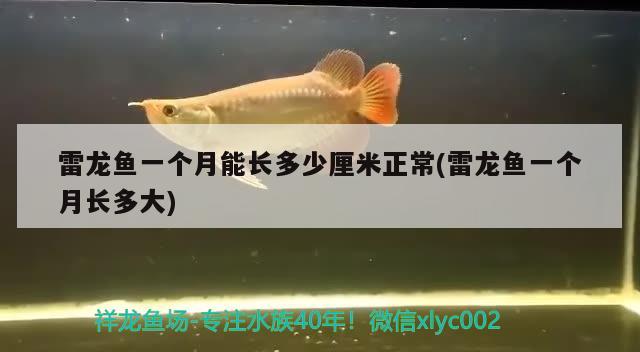 營口經(jīng)濟技術(shù)開發(fā)區(qū)綠色空間花店 營口經(jīng)濟技術(shù)開發(fā)區(qū)綠色空間花店 全國水族館企業(yè)名錄 第1張