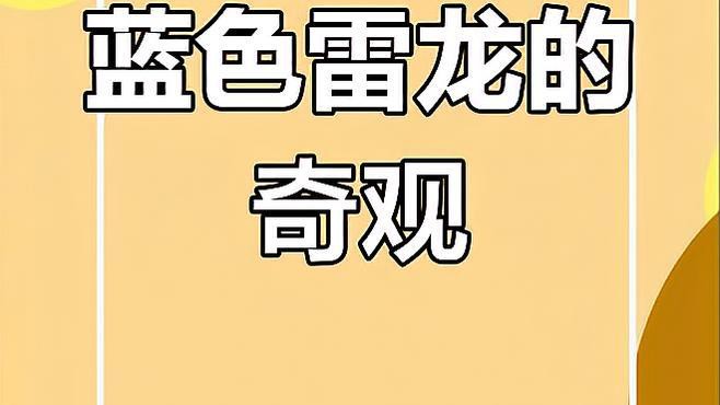 藍色恐龍魚