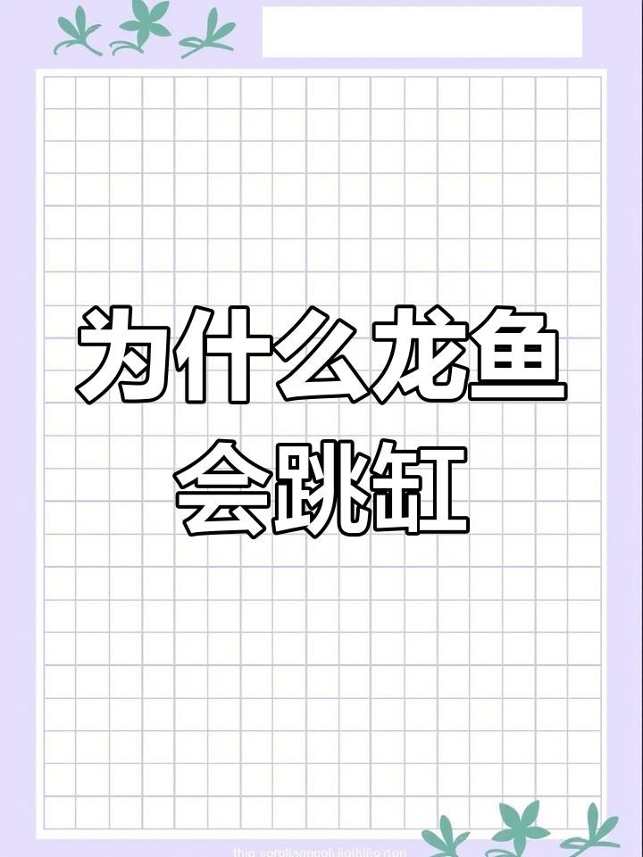 龍魚跳缸后多久可以恢復正常