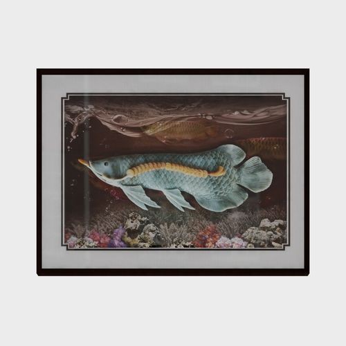 金龍魚(yú)手繪效果圖