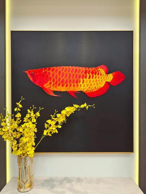 金龍魚(yú)手繪效果圖