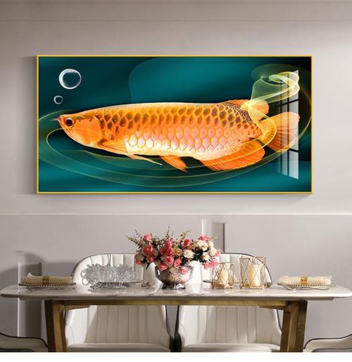 金龍魚(yú)手繪效果圖
