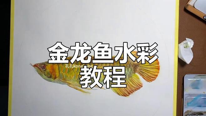 金龍魚(yú)手繪效果圖