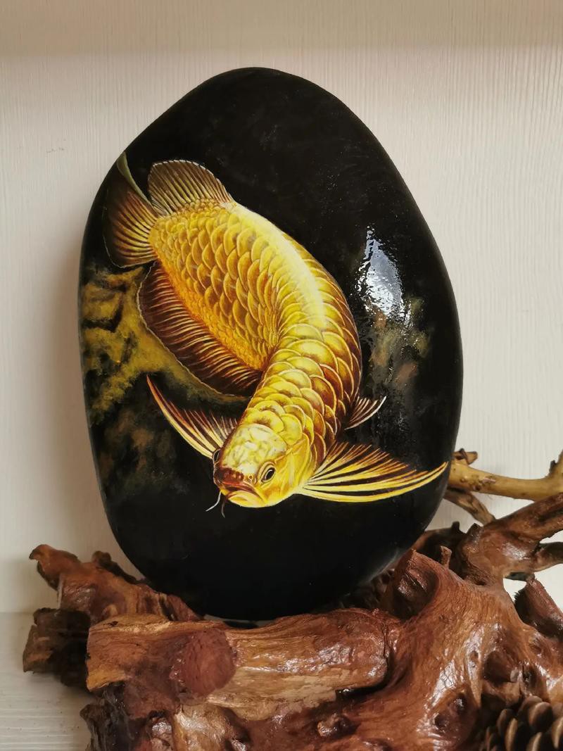 金龍魚(yú)手繪效果圖