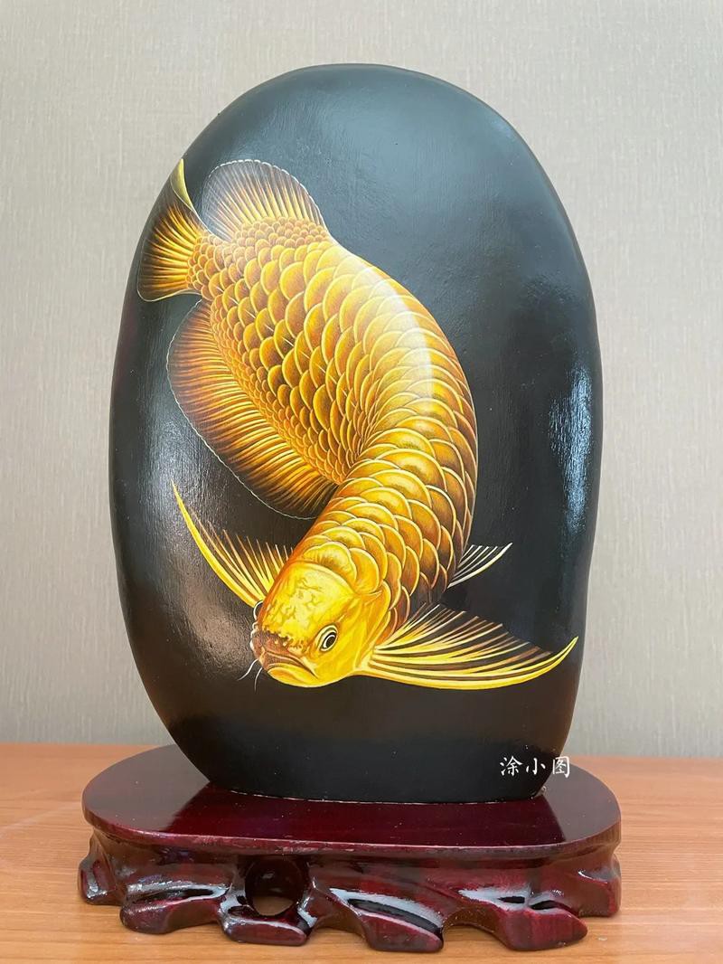 金龍魚(yú)手繪效果圖