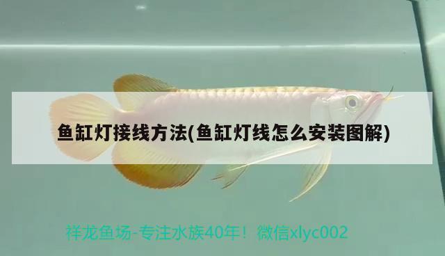 <strong><mark>北京</mark></strong>珍藏雅賞工藝品店