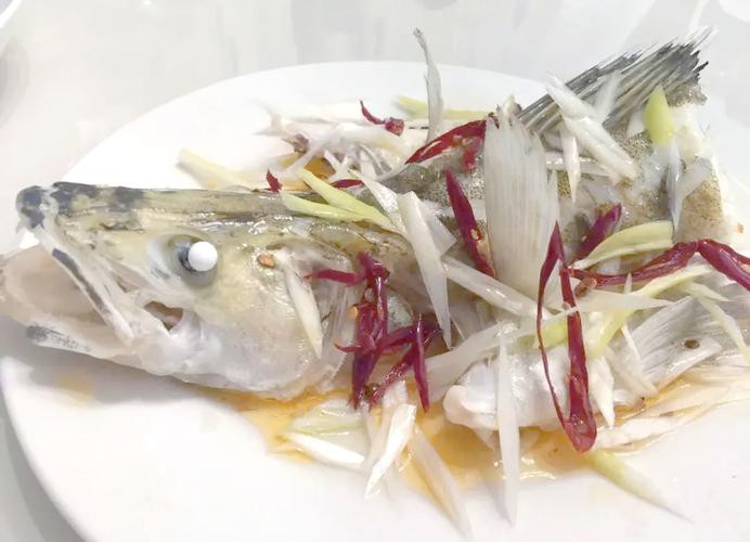 天山龍魚是什么魚圖片大全