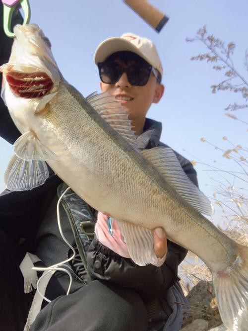 天山龍魚是什么魚圖片大全