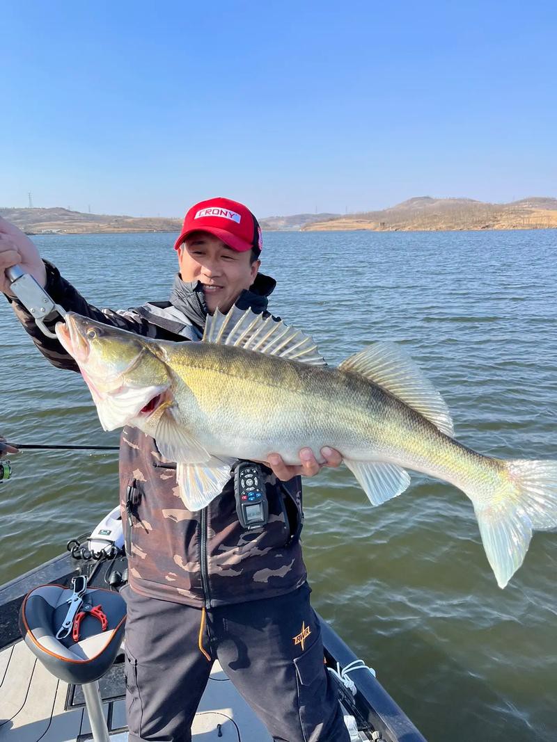 天山龍魚是什么魚圖片大全