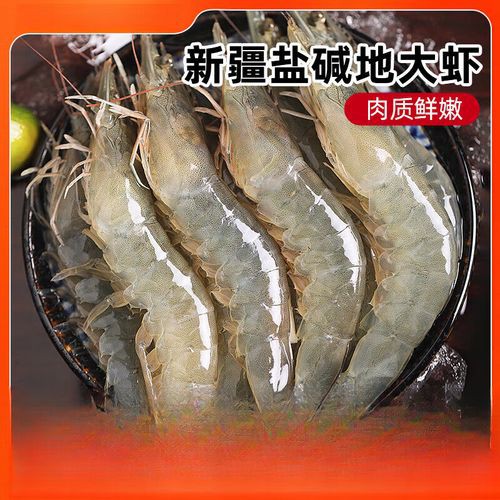 天山龍魚是什么魚圖片大全