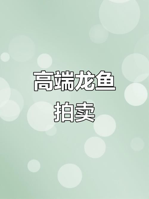 巴中龍魚哪里在買的到
